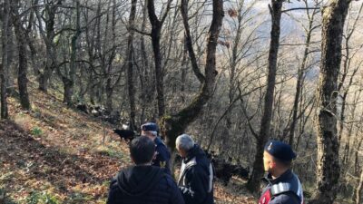 Bursa’da kayıp koyunları jandarma ekipleri buldu