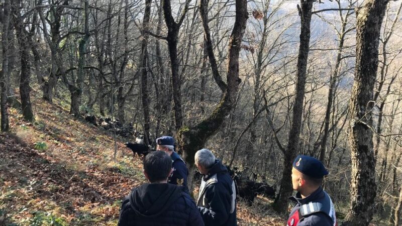 Bursa’da kayıp koyunları jandarma ekipleri buldu.