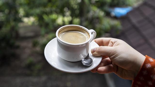 Dünyanın en pahalı kahvesi: Kilosu bin dolar Dünyanın en pahalı kahvesi: Kilosu bin dolar