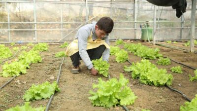 Öğrenciler serada yetiştirdikleri ürünlerden gelir elde ediyor