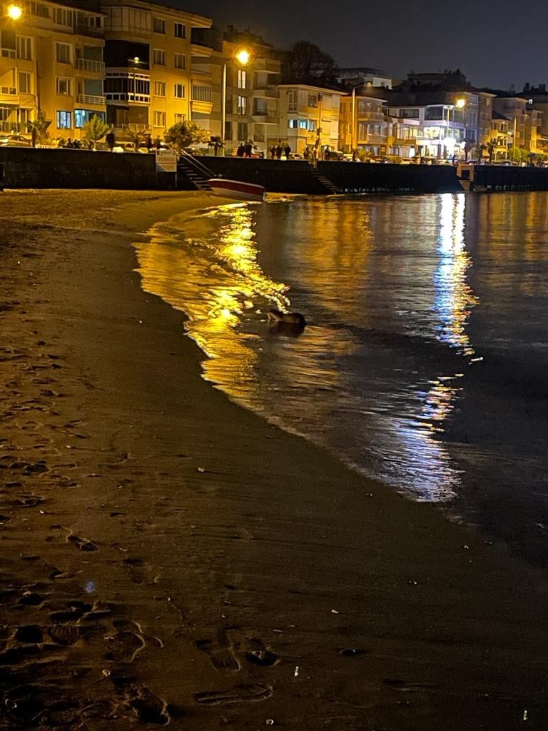 Bursa’da görenler hayrete düştü!