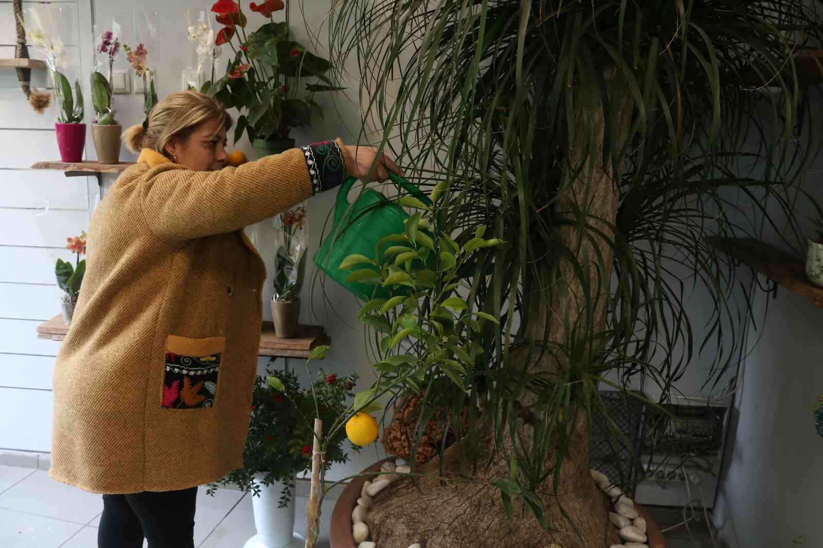 Yılbaşı öncesi Bursa’da çiçekçiler doldu taştı