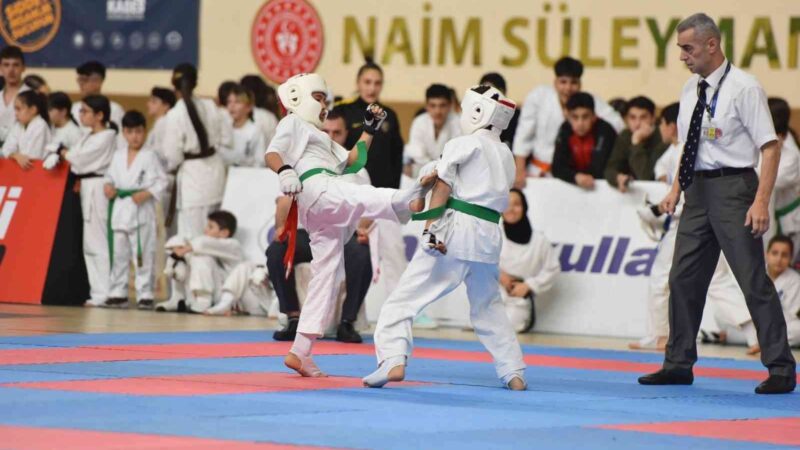 Yıldırım Belediyesi, İller Arası Kyokushin Karate Turnuvası düzenledi.