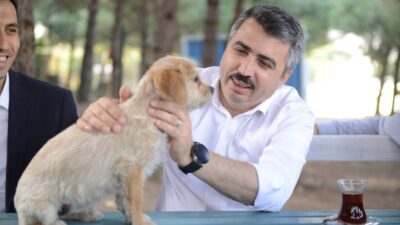 Yıldırım’ın sessiz sakinlerine 7-24 hizmet