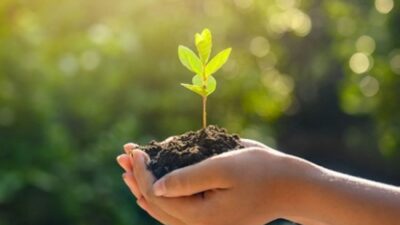 Harmancık’ta fidan dikimi yapıldı