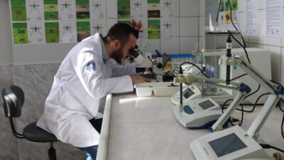 Bursa’da sinekle mücadele laboratuvara taşındı