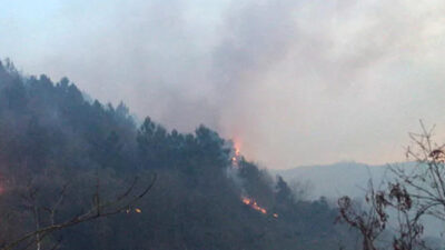 Orman yangını! Ekipler müdahale ediyor