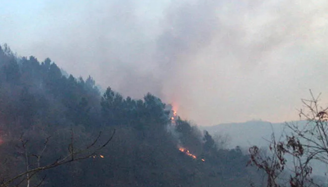 Orman yangını! Ekipler müdahale ediyor Orman yangını! Ekipler müdahale ediyor