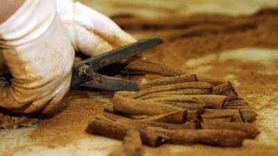 Günde bir defa yedi 30 yıldır grip olmadı!