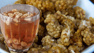 Hastalanmanıza izin vermiyor!