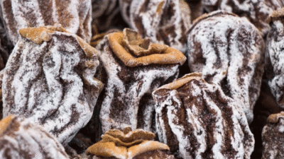 Bu faydasını bilen kurutmak için can atıyor!