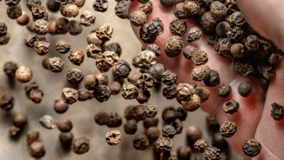 Günde bir kaşık tüketen düz duvara tırmanıyor…