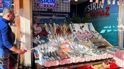 Balık tezgahlarında hamsi bolluğu yaşanıyor