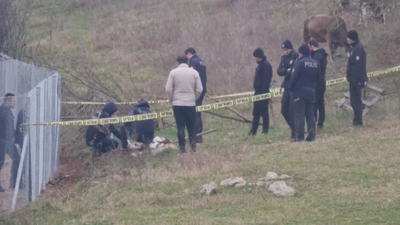 Mezarlıkta çarşafa sarılı köpek ölüsü bulundu