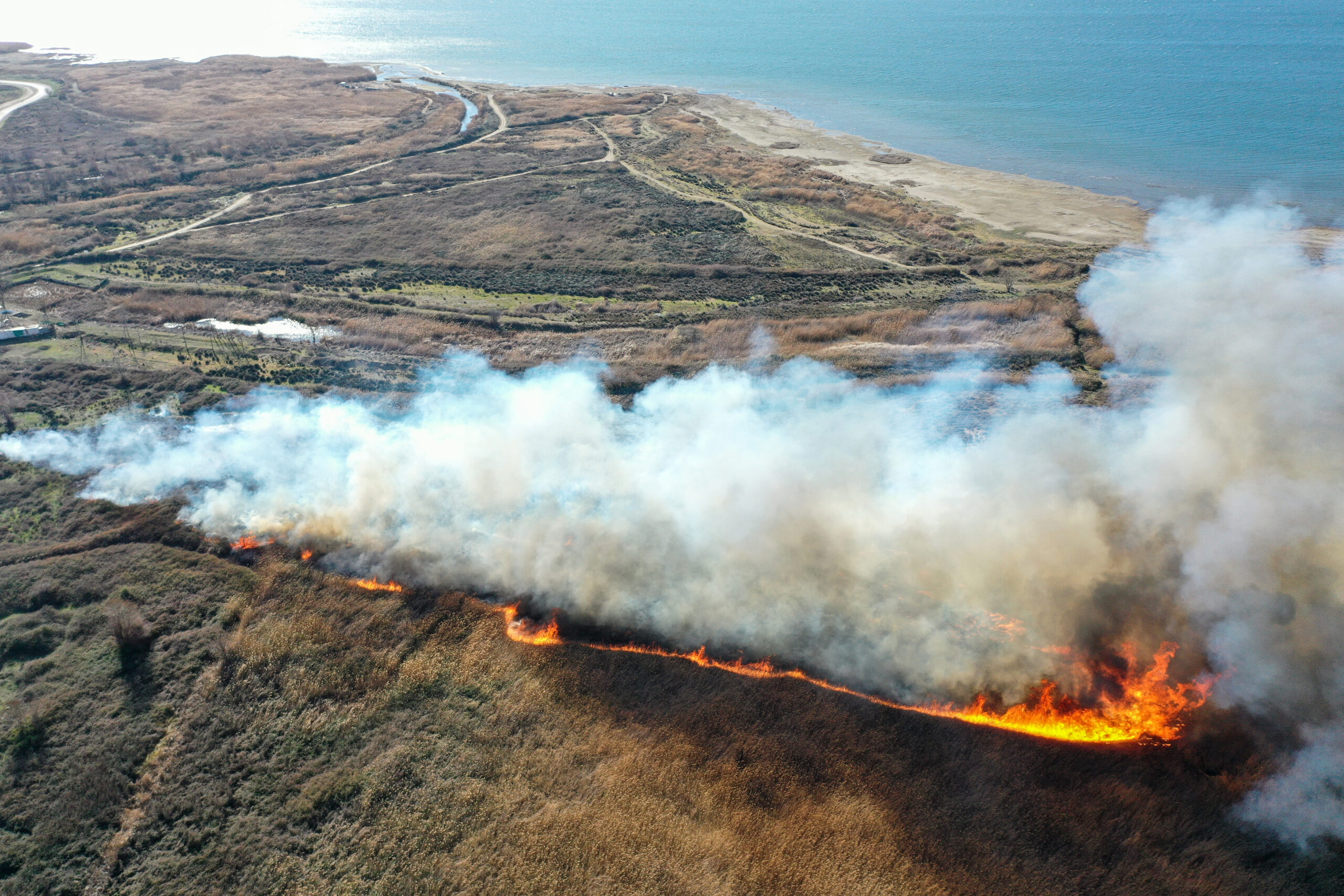 İznik’te sazlık alanda korkutan yangın