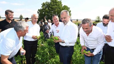 Bursa Büyükşehir’in çiftçiye desteği sürüyor