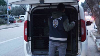 Bursa’da hırsızlıktan 9 kişi tutuklandı