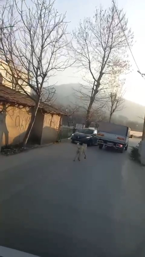 Bursa’da dehşet veren olay! Bursa’da dehşet veren olay!