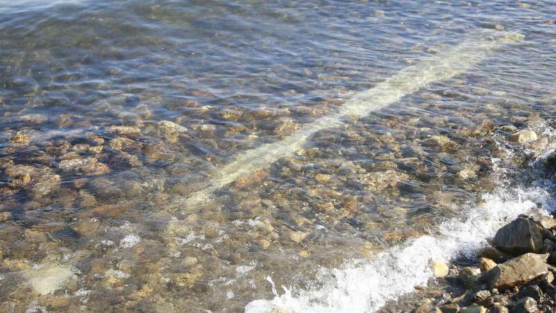 Orhangazi ilçesinin Gölyaka Mahallesi’nde, İznik Gölü içinde yaklaşık 2,5 metre