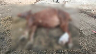 Bursa’da yürek sızlatan olay