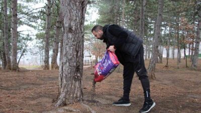 Bursa’da kırsaldaki sokak hayvanları unutulmadı