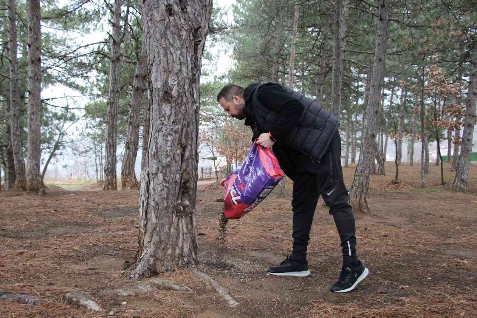 Bursa’da kırsaldaki sokak hayvanları unutulmadı