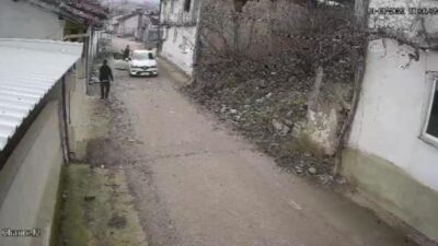 Bursa’da köpeği tüfekle vurarak telef eden kişi gözaltına alındı