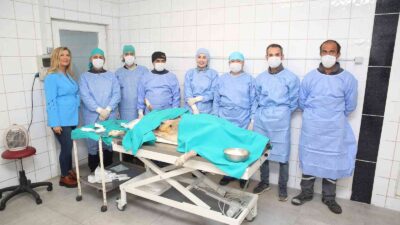 Nilüfer’de sahipsiz can dostlar kısırlaştırılıyor