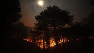 Kaz Dağları’nda orman yangını! Kontrol altına alındı