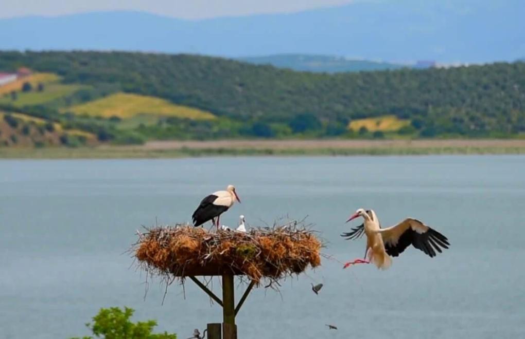 Bursa’da kritik TOKİ düzeltmesi! İşte evlerin yapılacağı yeni bölge…