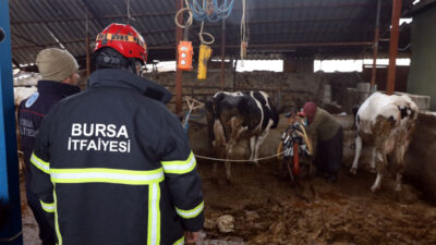 Bursa itfaiyesi gece yangında gündüz ahırda