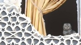 257 saat sonra yüzündeki korku!