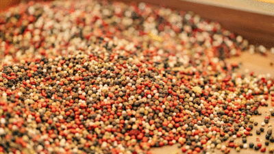 Bunu yiyenler yerinde duramıyor!