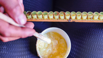 Çin’de ömrü uzatmak için kullanılıyor!