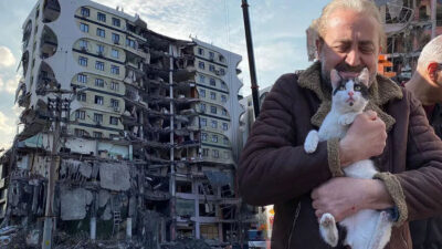 Galeria Sitesi’nde kurtarılan kedi sayısı 12’ye çıktı