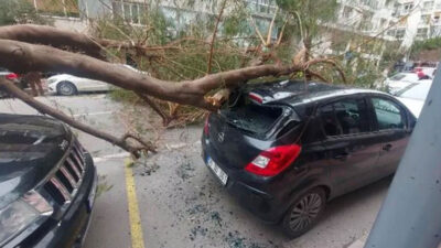 İzmir’de kuvvetli rüzgar! Ağaç devrildi, 2 araç hasar gördü