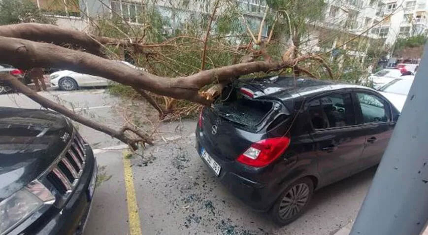 İzmir’de kuvvetli rüzgar! Ağaç devrildi, 2 araç hasar gördü İzmir’de kuvvetli rüzgar! Ağaç devrildi, 2 araç hasar gördü
