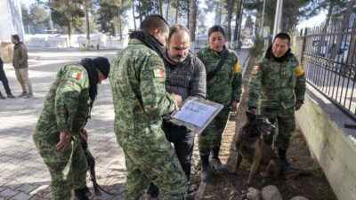 Meksika’nın arama kurtarma köpeği Proteo’ya hüzünlü veda