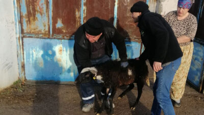 Harmancıklı üreticiler kurbanlık küçükbaş hayvanlarını depremzedelere bağışladı