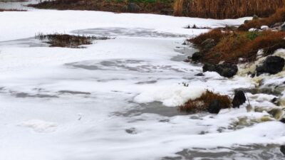 Bursa’da “beyaz köpük” paniği