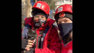 GÜRAK sessiz canlarımızı da kurtarmayı sürdürüyor