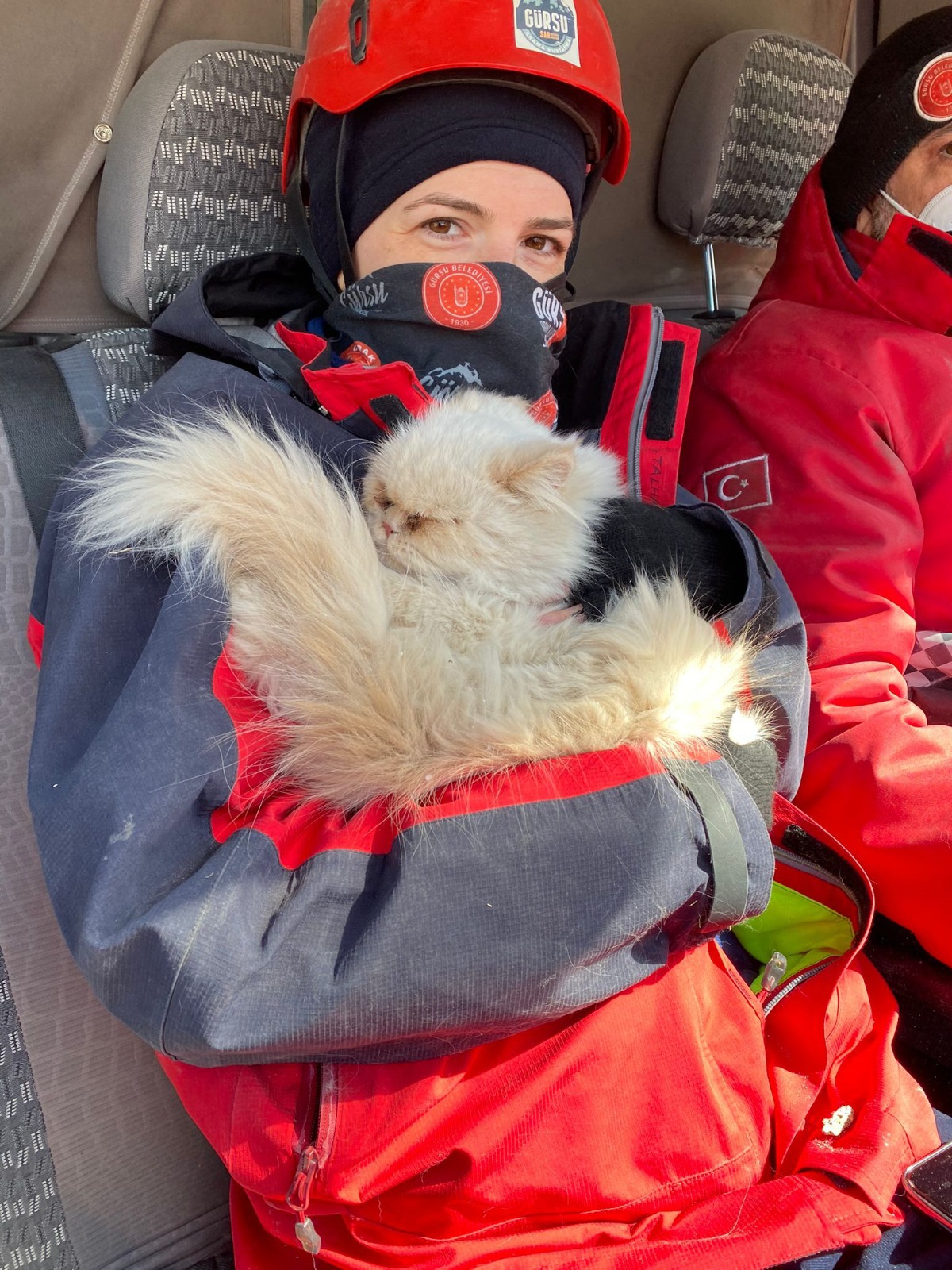 Gürsulu ekip, isimsiz kediyi buldu, sahibini arıyor