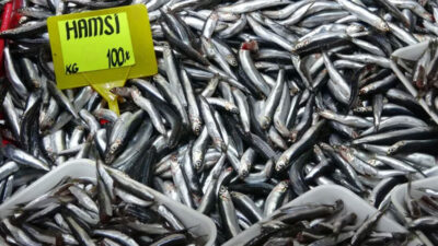 Yasakların ardından irileşen hamsinin kilosu 50 liradan 100 liraya çıktı