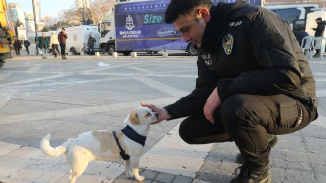 Depremde çevik kuvvetin sahiplendiği ‘Afitap’ asıl sahibine teslim edildi