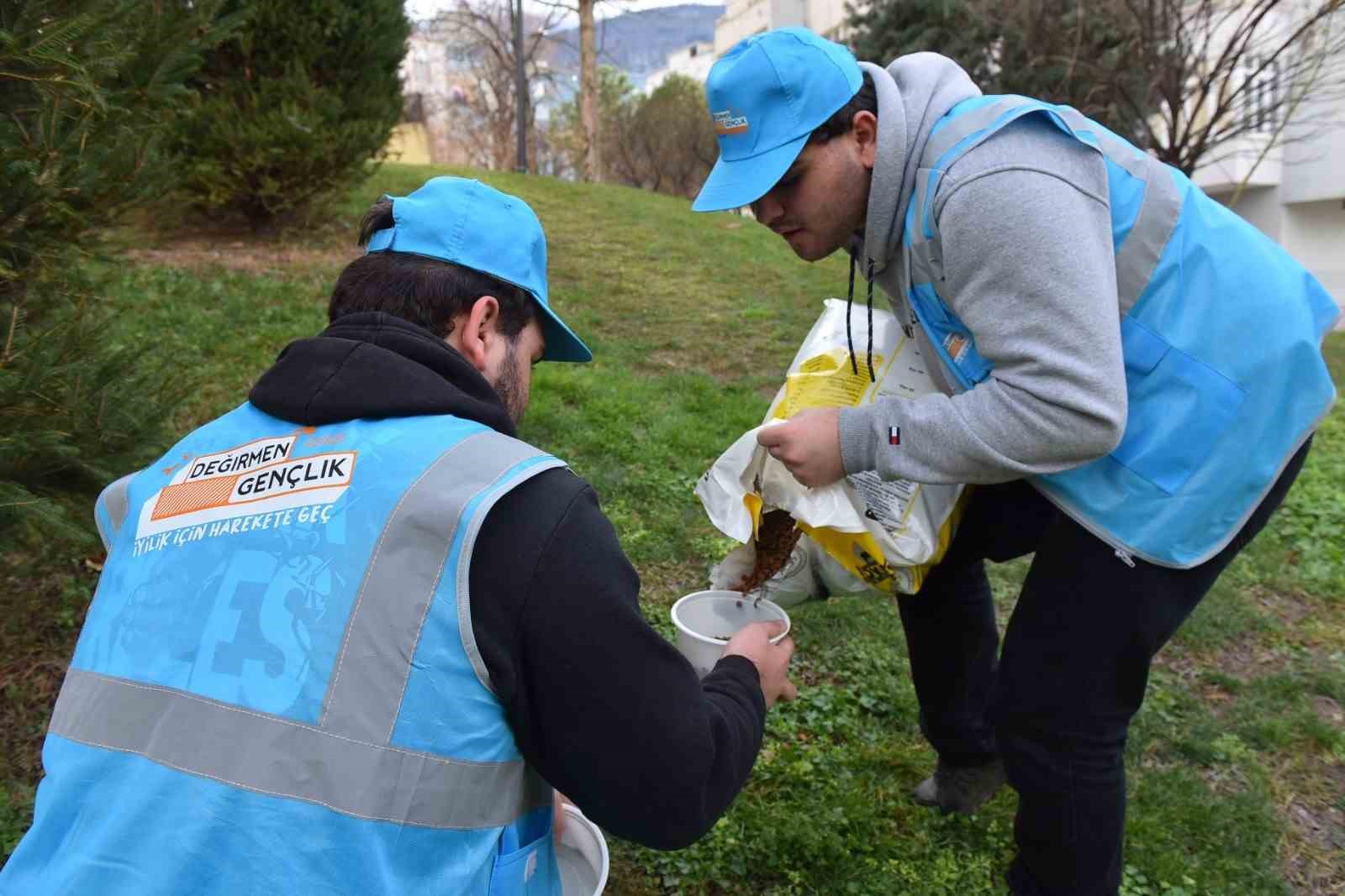 Can dostlarına ‘Yıldırım’ şefkat Can dostlarına ‘Yıldırım’ şefkat