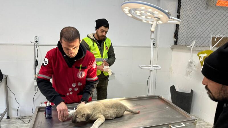 Can dostlar deprem bölgesinde emin ellerde Kahramanmaraş’ta meydana gelen 7.7 ve 7.6 büyüklüklerindeki depremin ardından hızla