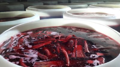 Yüksek tansiyonu ışık hızında düşürüyor!