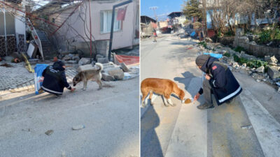 Afet bölgesindeki can dostlara Osmangazi şefkati