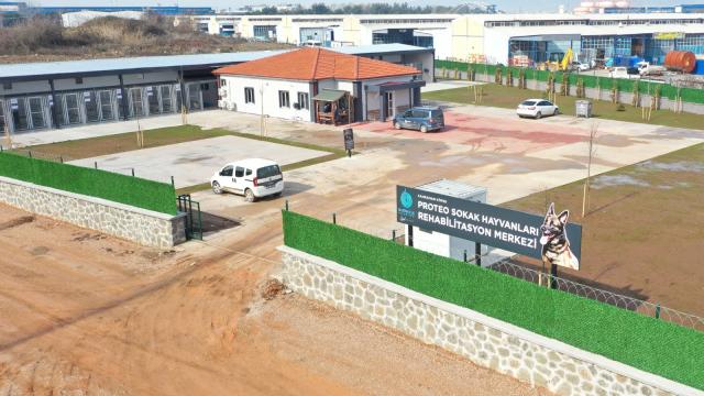 ‘Proteo’nun ismi yaşatılacak