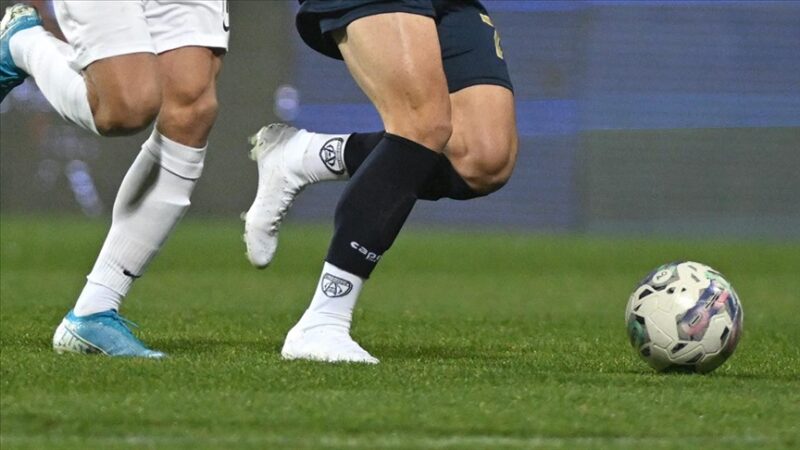 Spor Toto 1. Lig'de 23. haftanın perdesi, yarın oynanacak Altay-Adanaspor